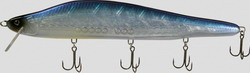 64myv2otnj76fooiwy2y-0c5cda36.jpg