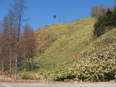 64p25gebrmnmzydxrip9_480_480-c6391036.jpg