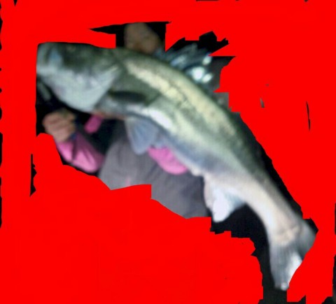 65bo3jddg2gboizof6pv_748_678-ab152500.jpg