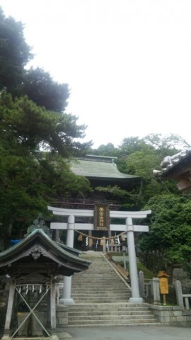 65ve6tmtec3pbwzzbspu_518_920-f3c815c9.jpg