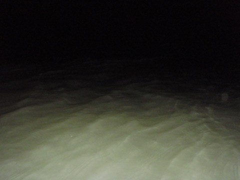 666bnx8vaweei787ushf_480_480-6f95bb9a.jpg