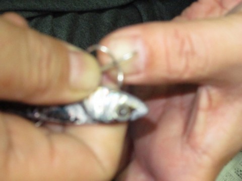 66czae872izxv2fcifye_480_480-aeada76b.jpg