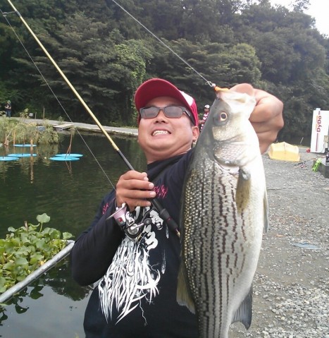 66kamy4c2gv75hh9thnx_480_480-c5ac2bb0.jpg