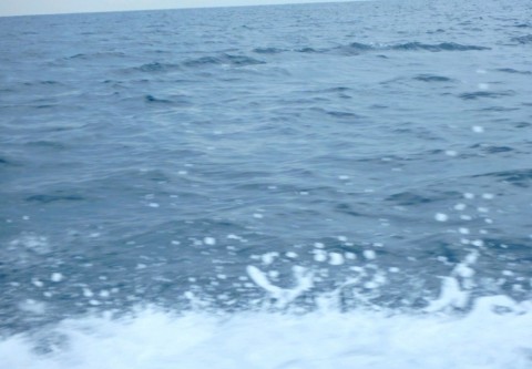 67be263i9j7ssg6iuz6z_480_480-8971e15c.jpg