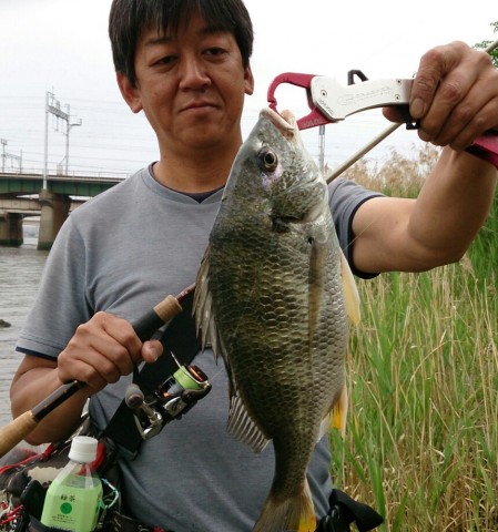 67c728ava9tup8rv4y63_860_920-9349c143.jpg