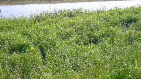 67crmxmdvk6cnzp8y8v9_920_518-75976e01.jpg