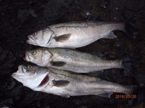67hofxnwcon93ubg4asi_480_480-410626cb.jpg