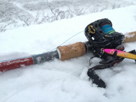 67jwsef9x79cski4wgeg_920_690-347f4767.jpg