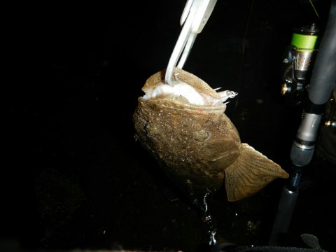 67rjgksgvxm9zegnznsc_920_690-c52ab131.jpg