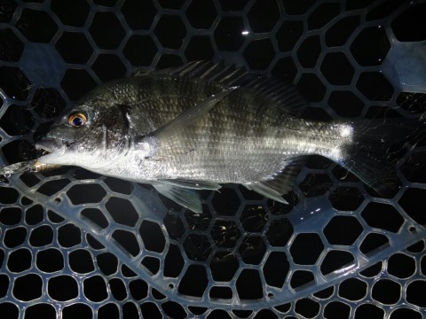 67sxnpha2hpuxrrefvw3_920_690-ec4b90d0.jpg