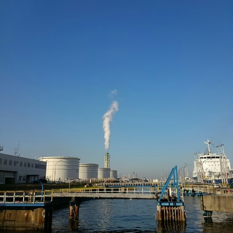 67twyaojdeej946ffpj2_920_920-6e9f93b8.jpg