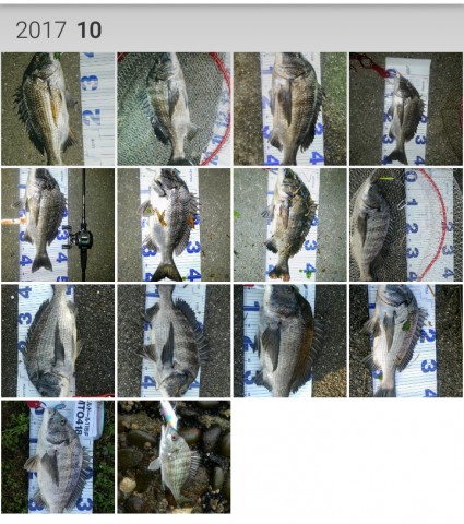 67zv5wwedmce9pj3c2t9_480_480-0ae9ae59.jpg