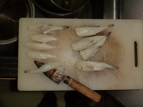 689x3ef6kgt2hrxogw6e_480_480-af997bdc.jpg