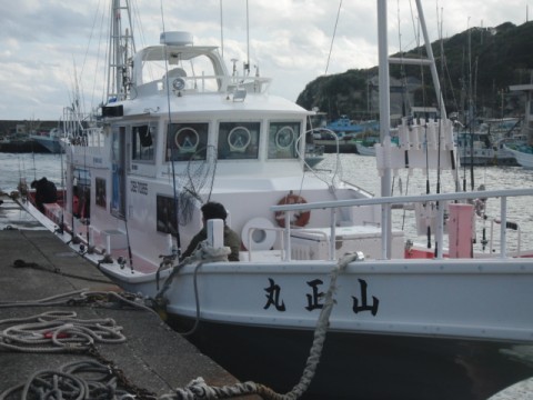 68iatf6sj3k88459zxy2_480_480-1f01b090.jpg