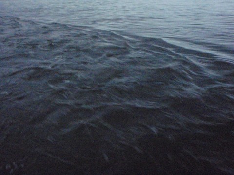 68mn5bc2tpvfw5vpphvk_480_480-f07b1a51.jpg
