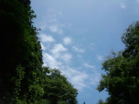 69jk724mkjimurxgfgk3_920_690-2dbbf559.jpg