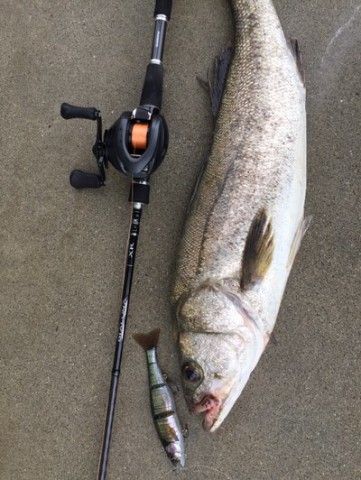 シマノ 18ディアルーナ B86M フィッシング ロッド artechs.ca