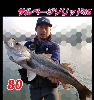 69t6cogm9bdtzxvn9r8x-64b8e504.jpg
