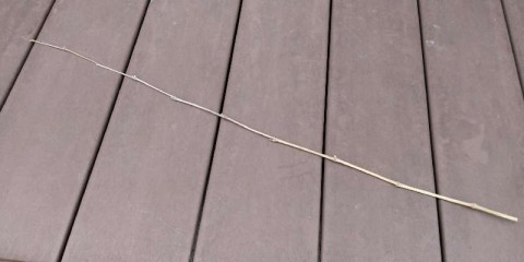 69wipcfyh7vvukkjkks2_480_480-1aab9032.jpg