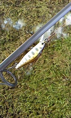6B6P8jnfieyAteam4kRz-5725edb7.jpg