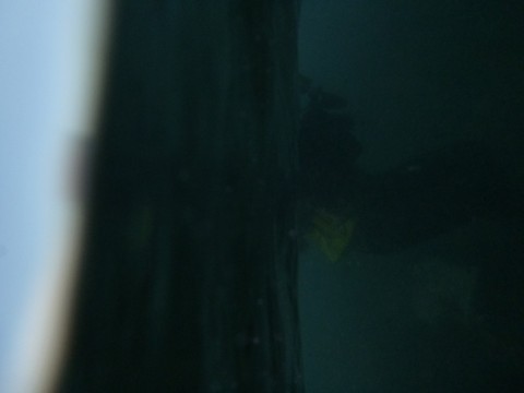 6aievrwx6o9jgf9dgy8y_480_480-fe77aa74.jpg