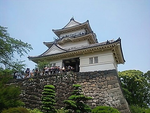 6aps58jni9mirwhcn7tt_640_480-c2800b43.jpg
