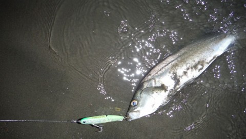 6b4ngm657rimekimrivs_480_480-465cdbc6.jpg