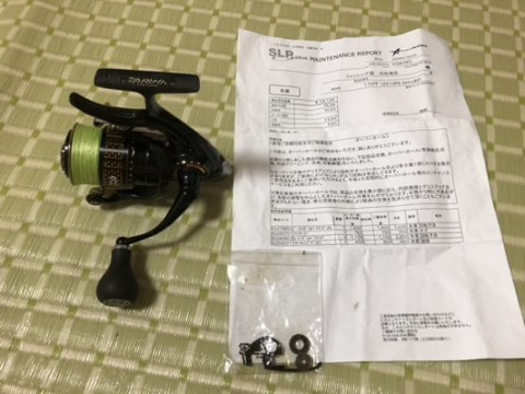 6b4rwki6nj6t7x5kwax9_480_360-90859799.jpg