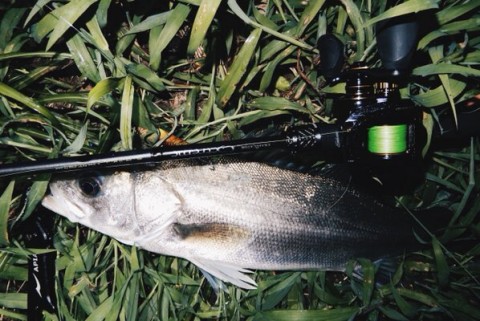 6b9eazuevrnmz9ucf85k_480_321-8594366a.jpg