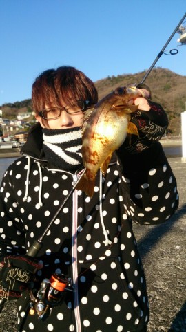 6bnbca69t2ryom9ej84u_517_920-7596787b.jpg
