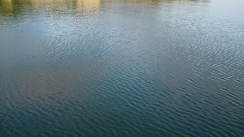 6bupnr6um7hdmrxm9mbe_920_517-c31c98b8.jpg