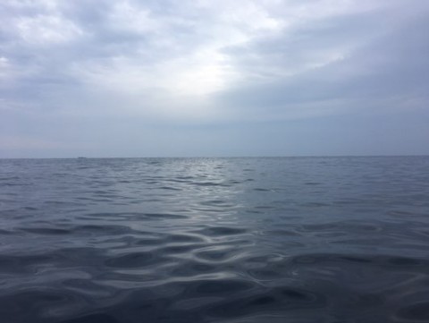 6c7r3zpv86hjmhrdbz7b_480_361-57b49b44.jpg
