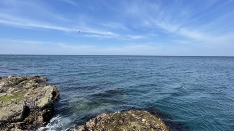 6c8z58p44ojdsh39m6by_480_270-8c51f832.jpg