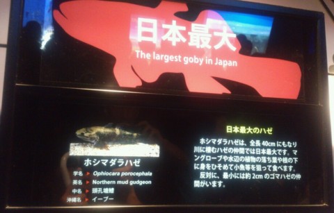 6cd3czncap55wrpherxo_920_588-e9890d39.jpg
