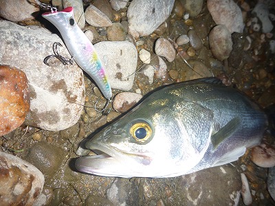 6chjjxffvv3xhmv67yp9-25cb54f2.jpg