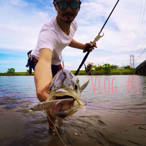 6cwdps8shg7w8gxe648e_920_920-f469e589.jpg