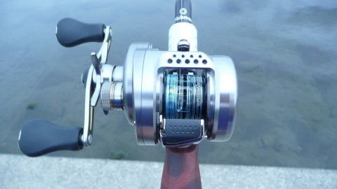 6d3borywudk5bh55o6s6_480_480-78f72a90.jpg