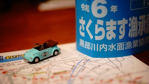 6d7wwh26dix8idtbo96r_480_480-918d0a82.jpg