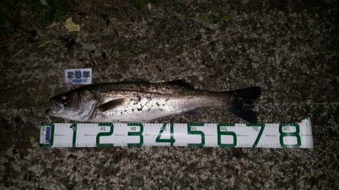 6dabu8s8o8uikusum2fi_920_518-d86395cf.jpg