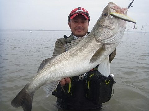 6db6yvyoob5jbwttg28y_480_480-ed9edf08.jpg