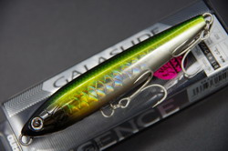 6disx6csxeky846d3vd8-39095168.jpg