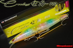 6dk8f24gkpnkub9kwwsf-8e5333aa.jpg
