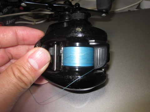 6dprvo6jc5oxk5txo5ok_480_480-bc8afe97.jpg