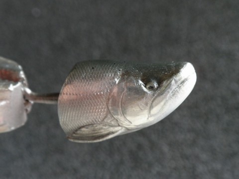 6dun5sj2m94dt247nzv8_480_480-63d4d160.jpg