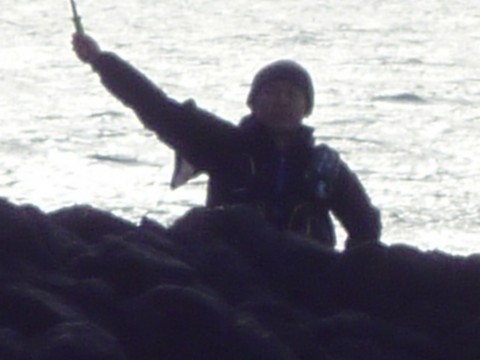 6dvecrkgvvehu7d3hcjj_480_480-a2585800.jpg
