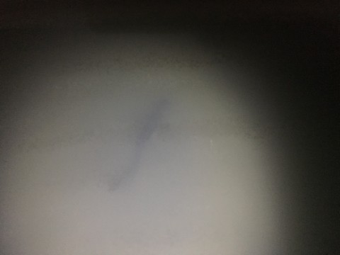 6dvfkxi8anovjp9znf99_920_690-15ab87ef.jpg