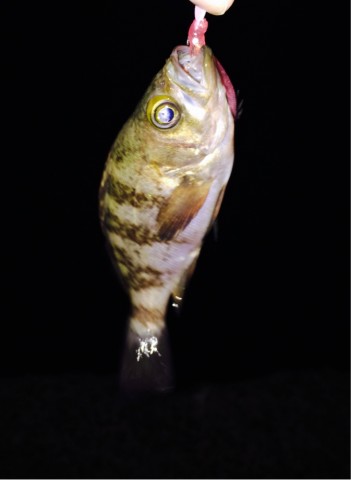 6dytj25aaihtda25jica_673_921-c6995367.jpg