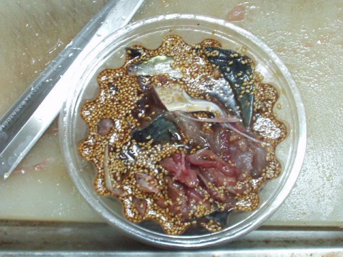 6e95bfdxzhmfpdfisukz_480_480-33f3954e.jpg