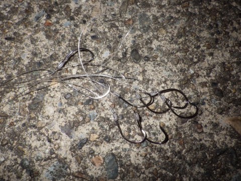 6earxe5fk6yygvaehysb_480_480-96c0ad04.jpg