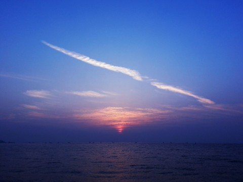 6edoo8bvmjmpc6g5xj6v_480_480-b8f558cb.jpg